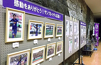 展示写真